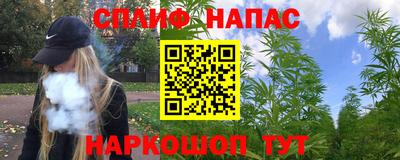 стаф Дмитров
