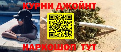 стаф Дмитров