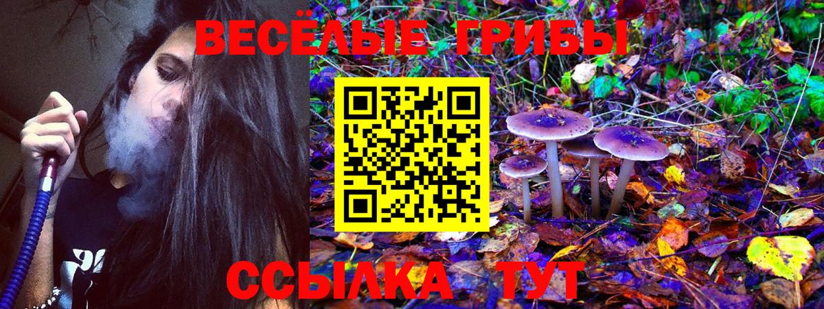 Марихуана  Гашиш  Вход с VPN  КОКАИН  Вейп ТГК  Россия  Меф МЯУ МЯУ   ГАШ 